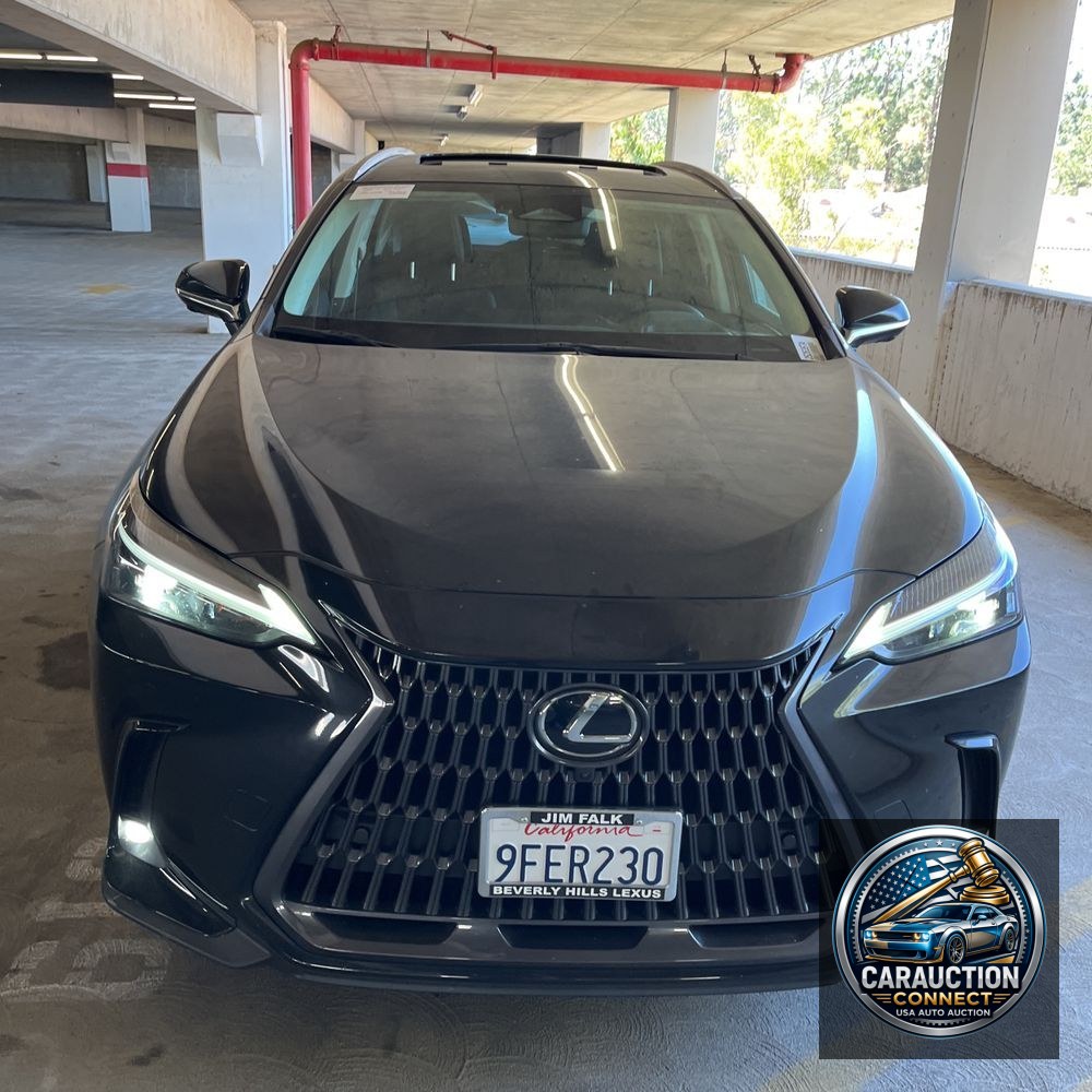 2023 Lexus NX 350 Luxury