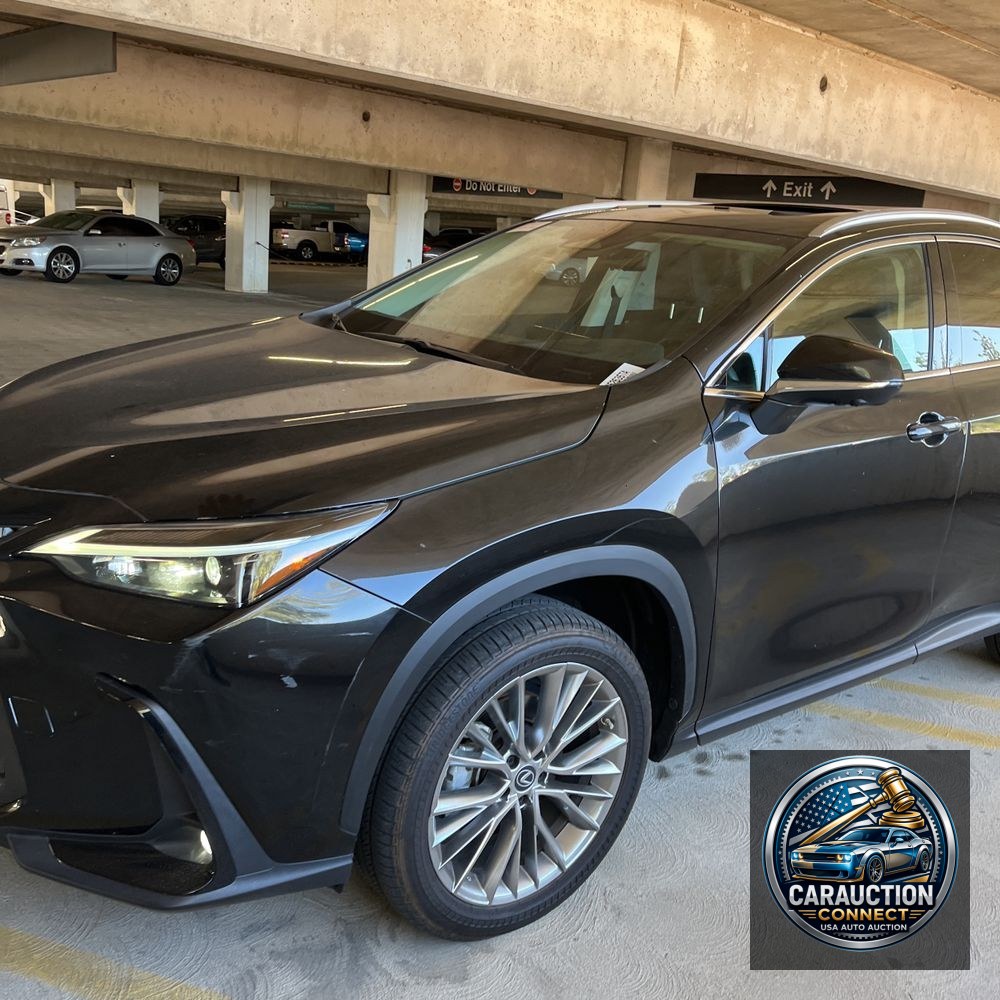 2023 Lexus NX 350 Luxury