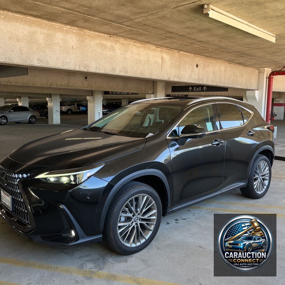2023 Lexus NX 350 Luxury