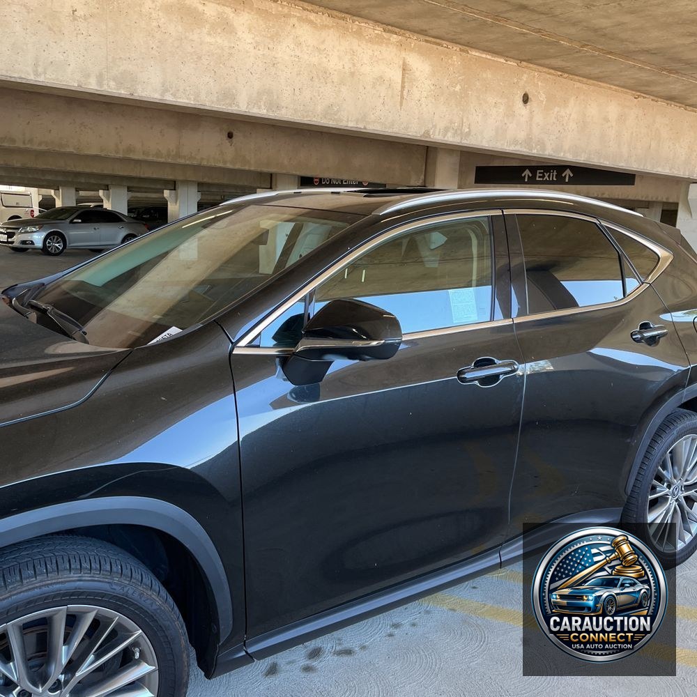 2023 Lexus NX 350 Luxury