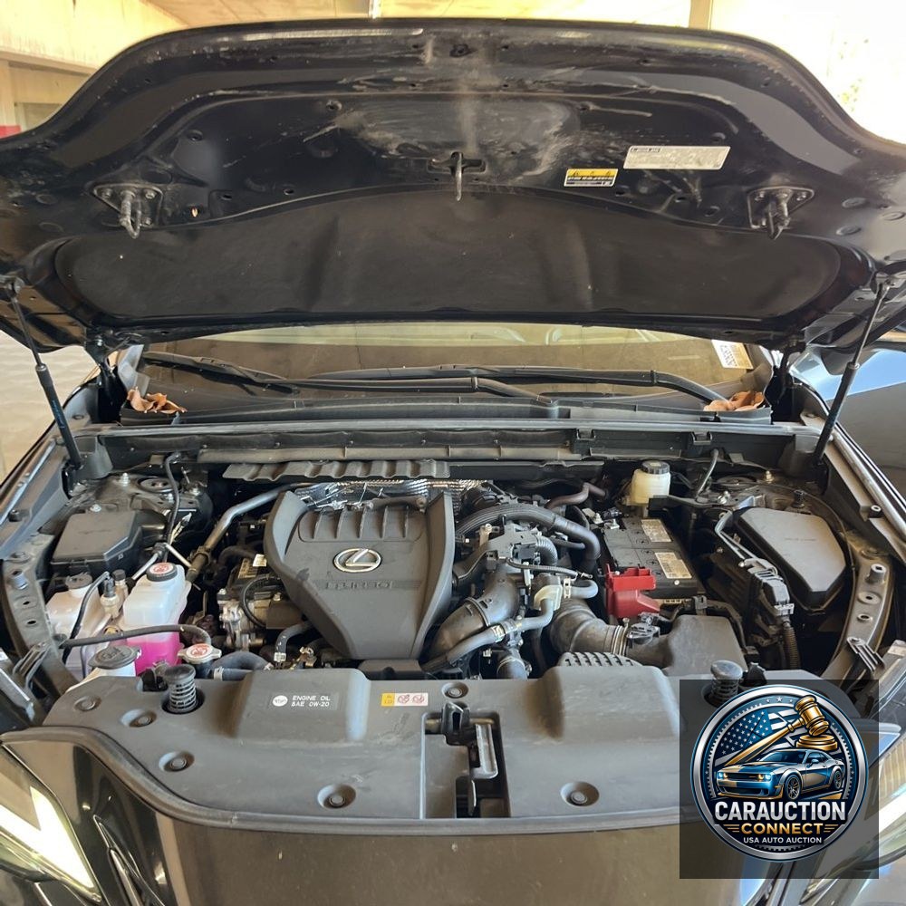2023 Lexus NX 350 Luxury