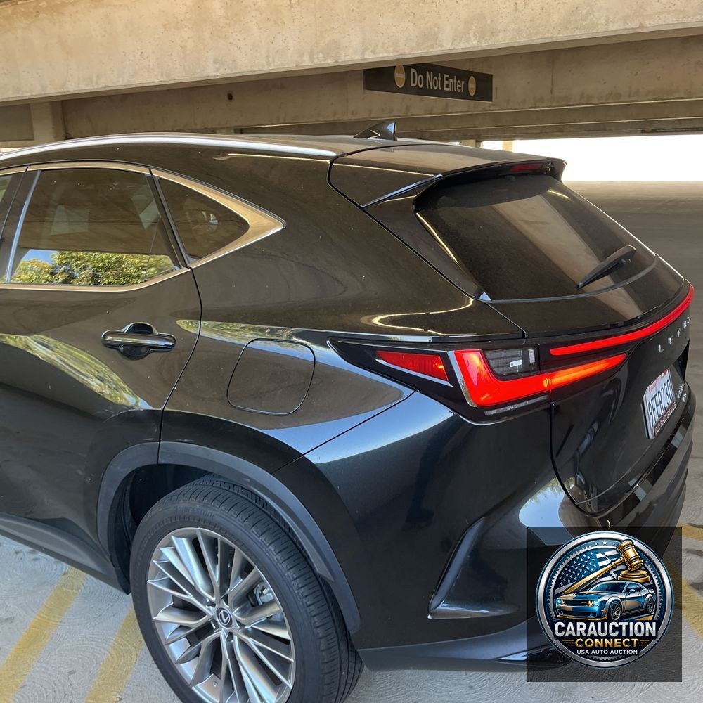 2023 Lexus NX 350 Luxury