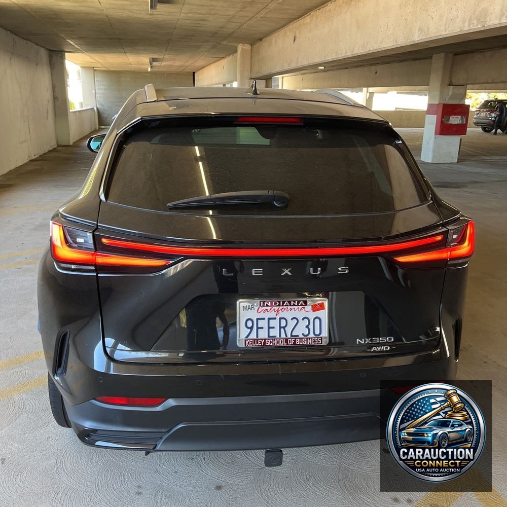 2023 Lexus NX 350 Luxury