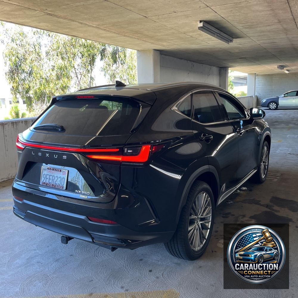 2023 Lexus NX 350 Luxury