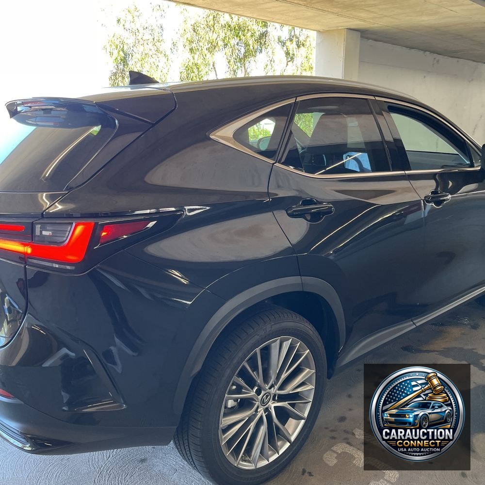 2023 Lexus NX 350 Luxury