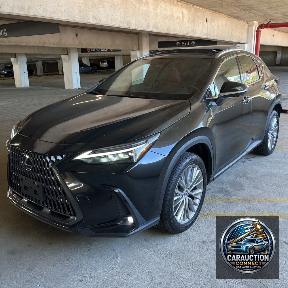2025 Lexus NX 350 Luxury