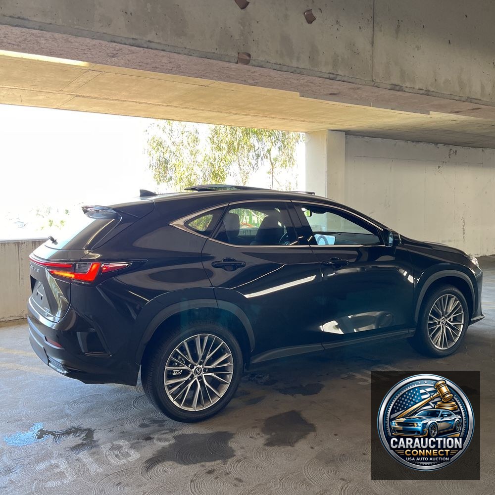2025 Lexus NX 350 Luxury