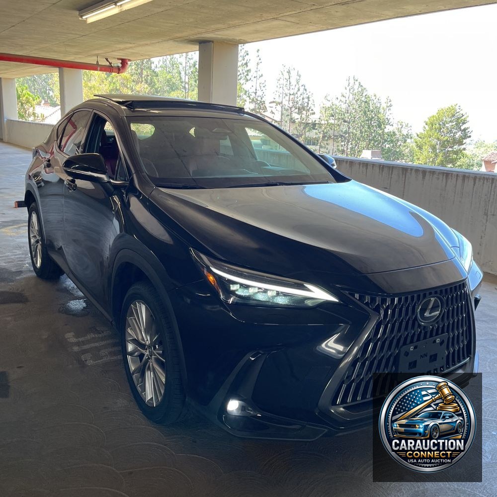 2025 Lexus NX 350 Luxury