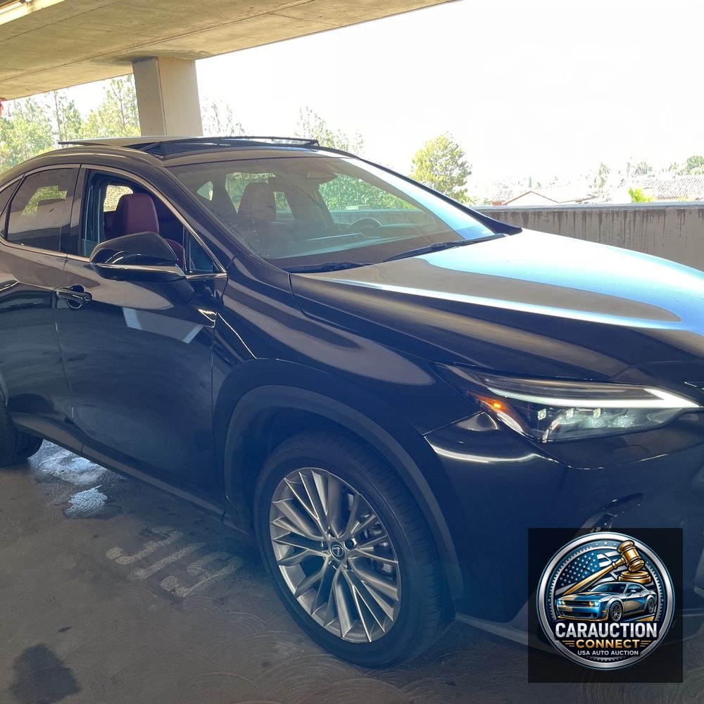 2025 Lexus NX 350 Luxury