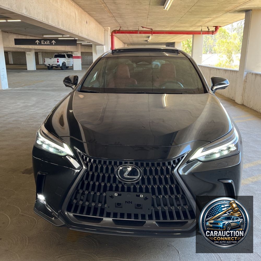 2025 Lexus NX 350 Luxury