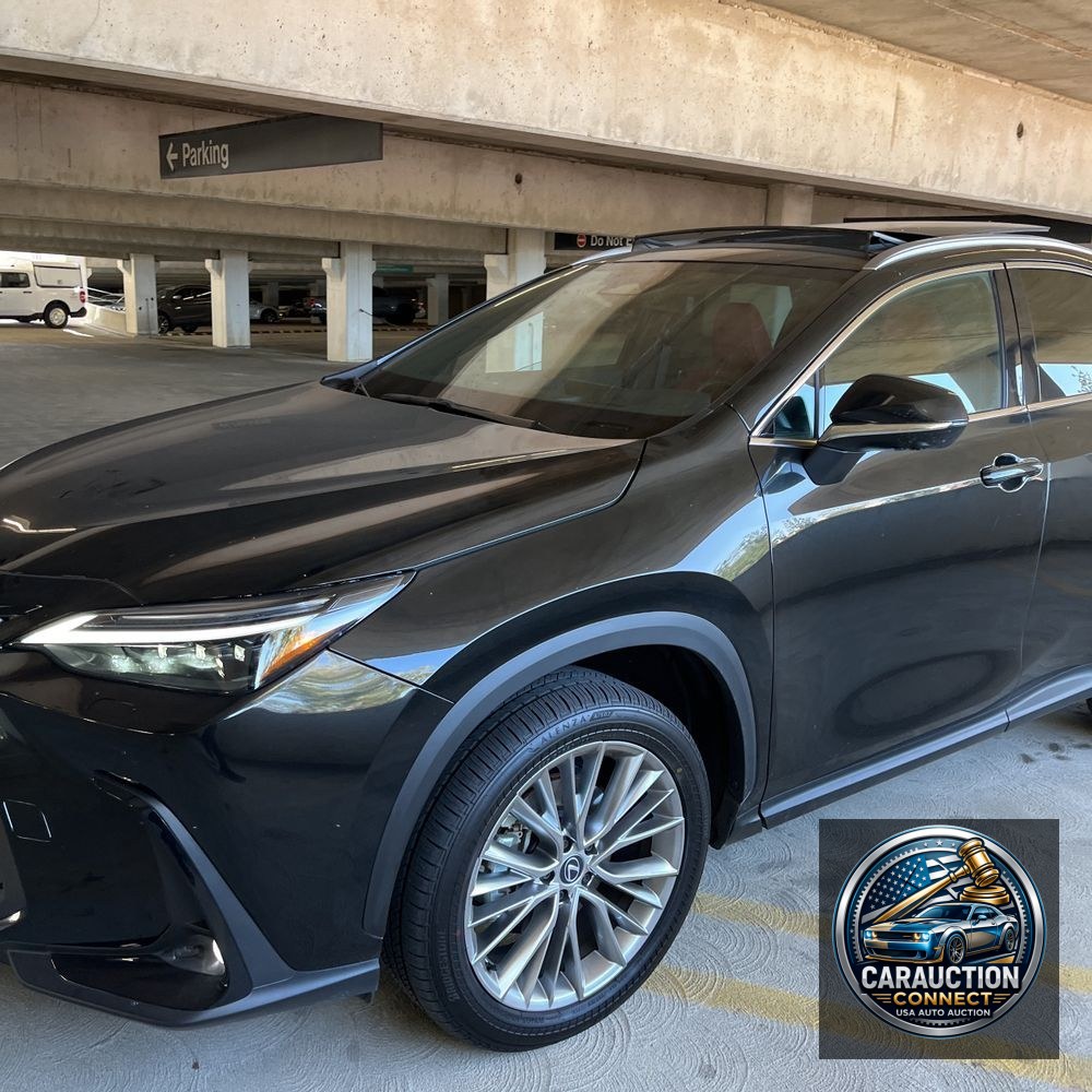 2025 Lexus NX 350 Luxury