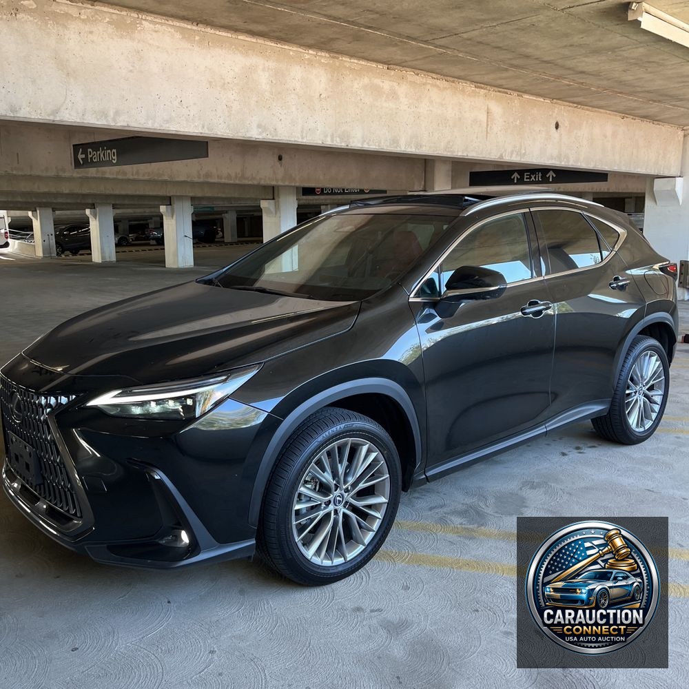2025 Lexus NX 350 Luxury