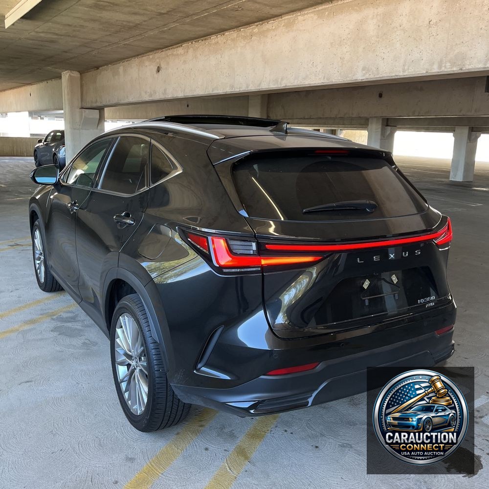 2025 Lexus NX 350 Luxury