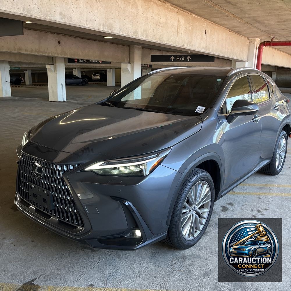 2024 Lexus NX 350 Luxury