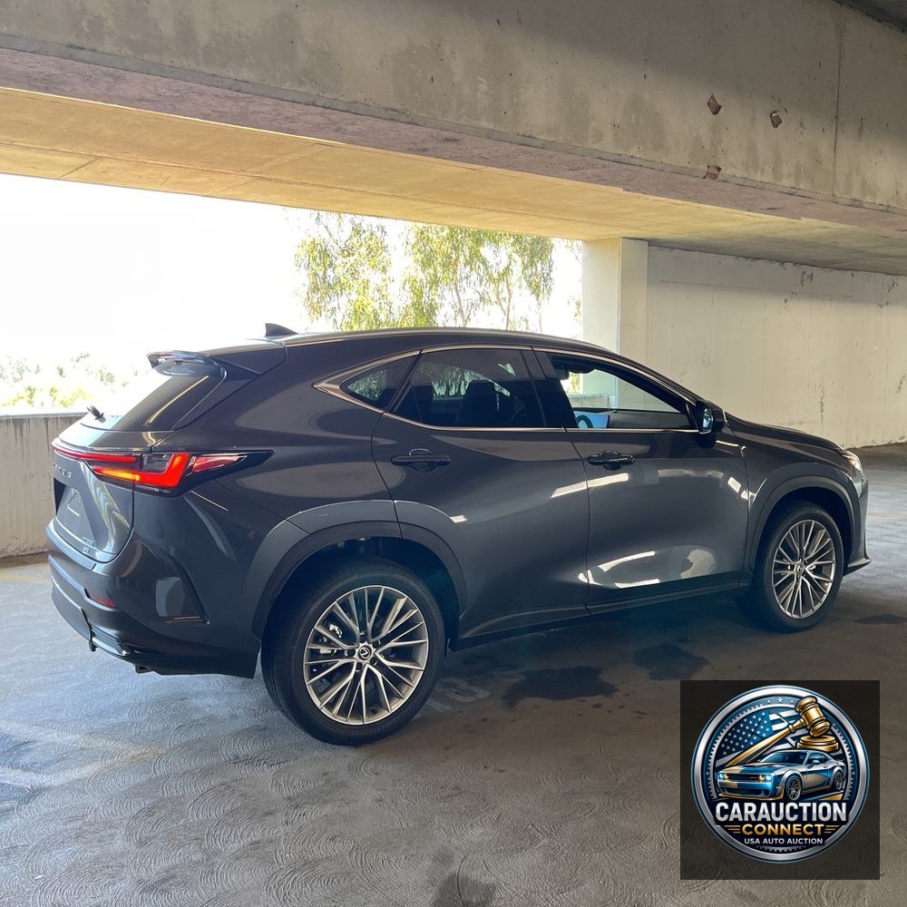 2024 Lexus NX 350 Luxury
