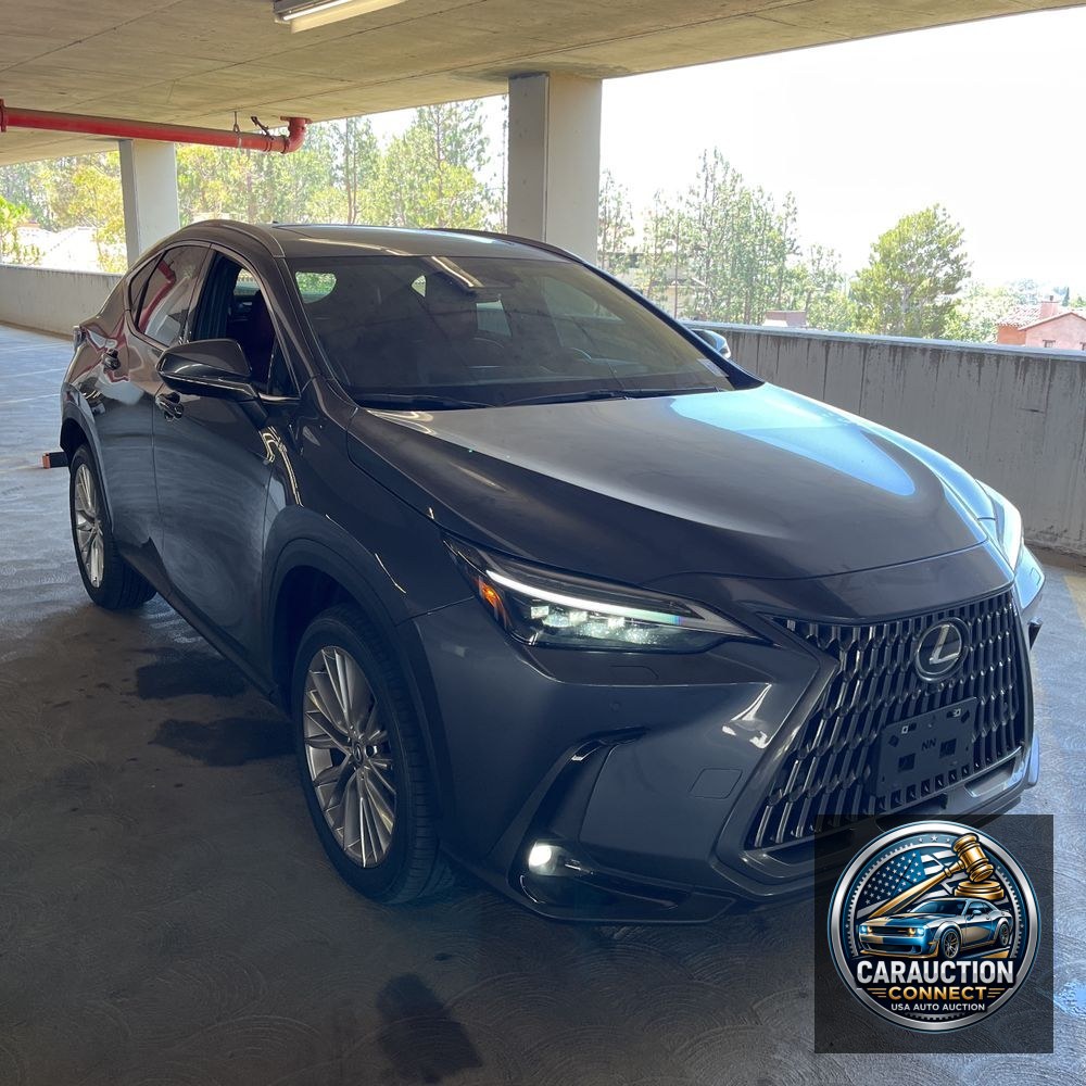 2024 Lexus NX 350 Luxury