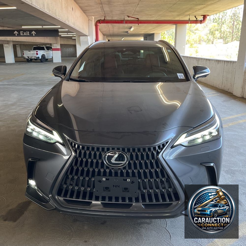 2024 Lexus NX 350 Luxury