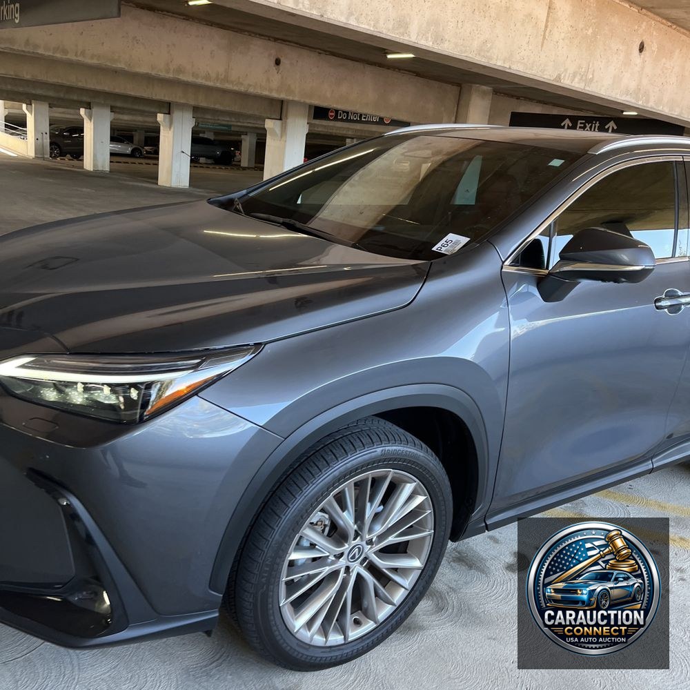 2024 Lexus NX 350 Luxury