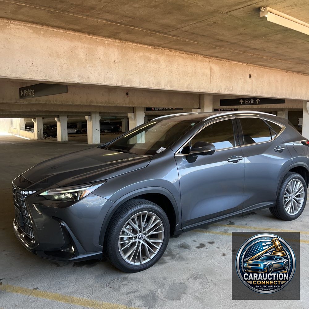 2024 Lexus NX 350 Luxury