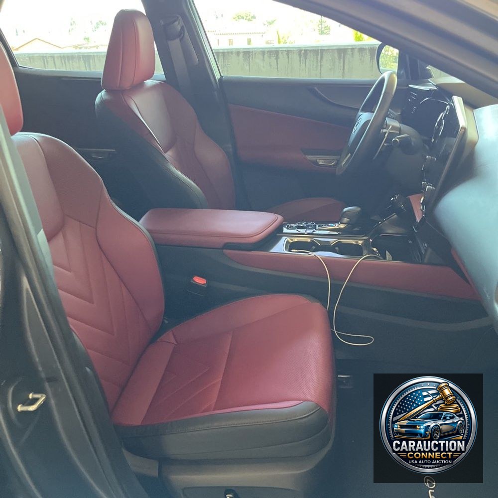 2024 Lexus NX 350 Luxury