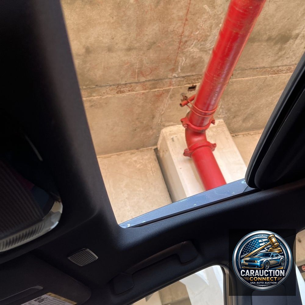 2024 Lexus NX 350 Luxury