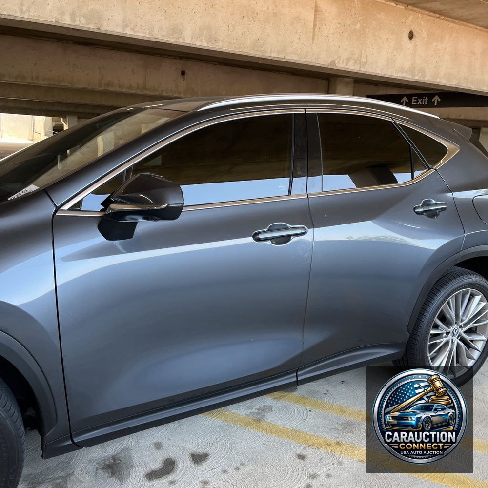 2024 Lexus NX 350 Luxury