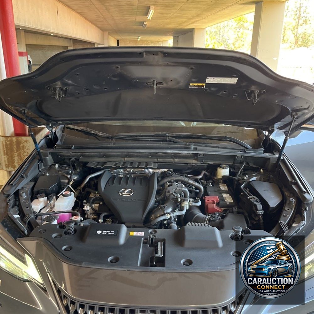 2024 Lexus NX 350 Luxury