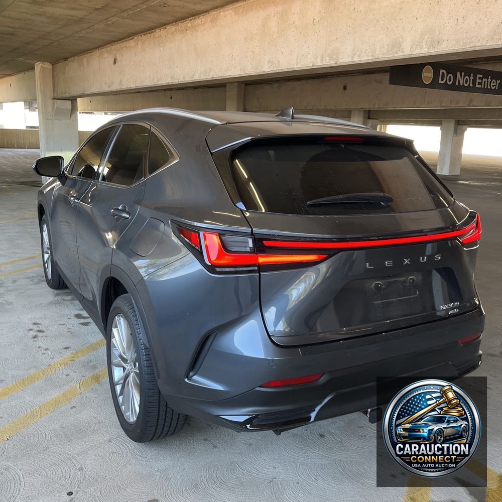 2024 Lexus NX 350 Luxury
