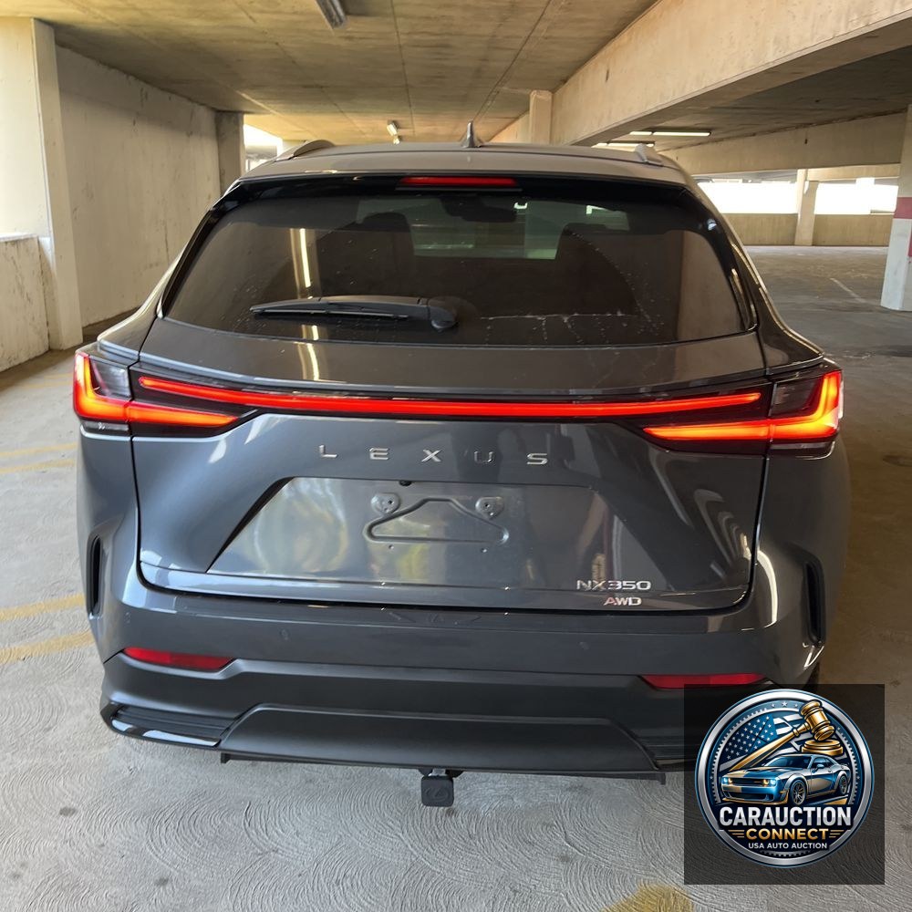 2024 Lexus NX 350 Luxury