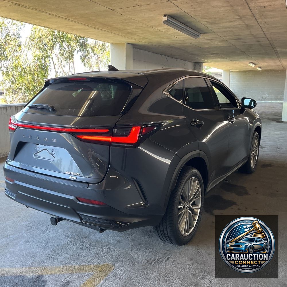 2024 Lexus NX 350 Luxury