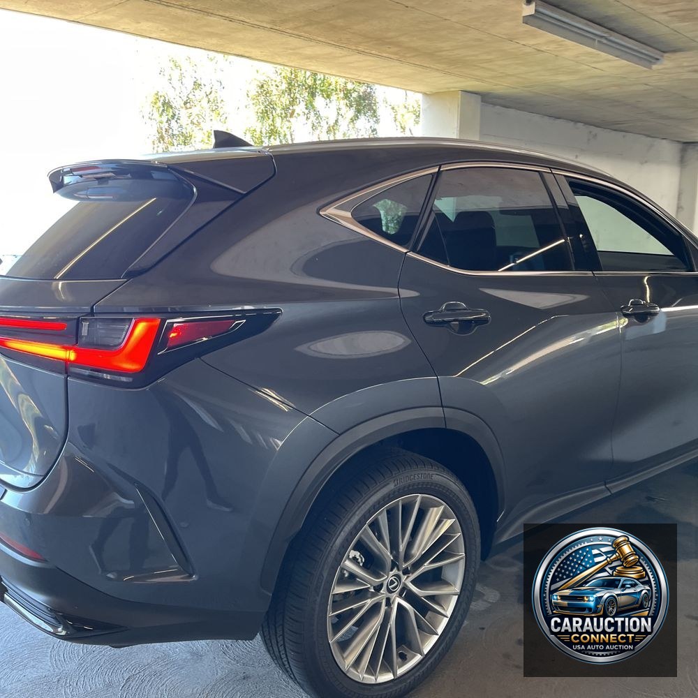2024 Lexus NX 350 Luxury