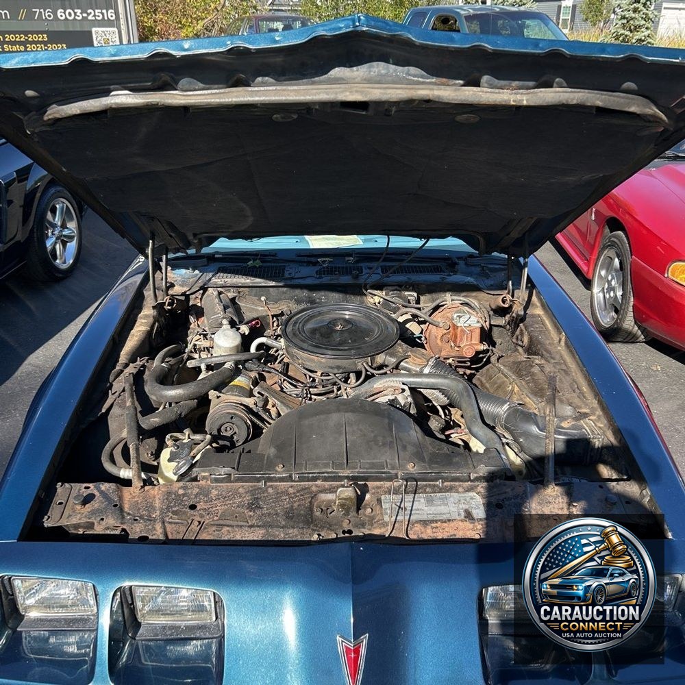 1979 Pontiac Firebird Formula