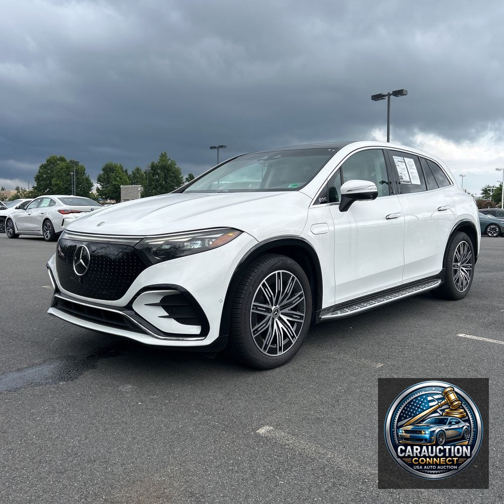 2024 Mercedes-Benz EQS EQS 450 4MATIC