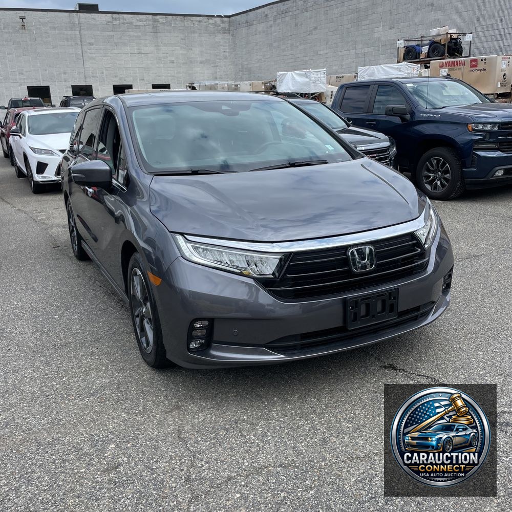 2024 Honda Odyssey Elite