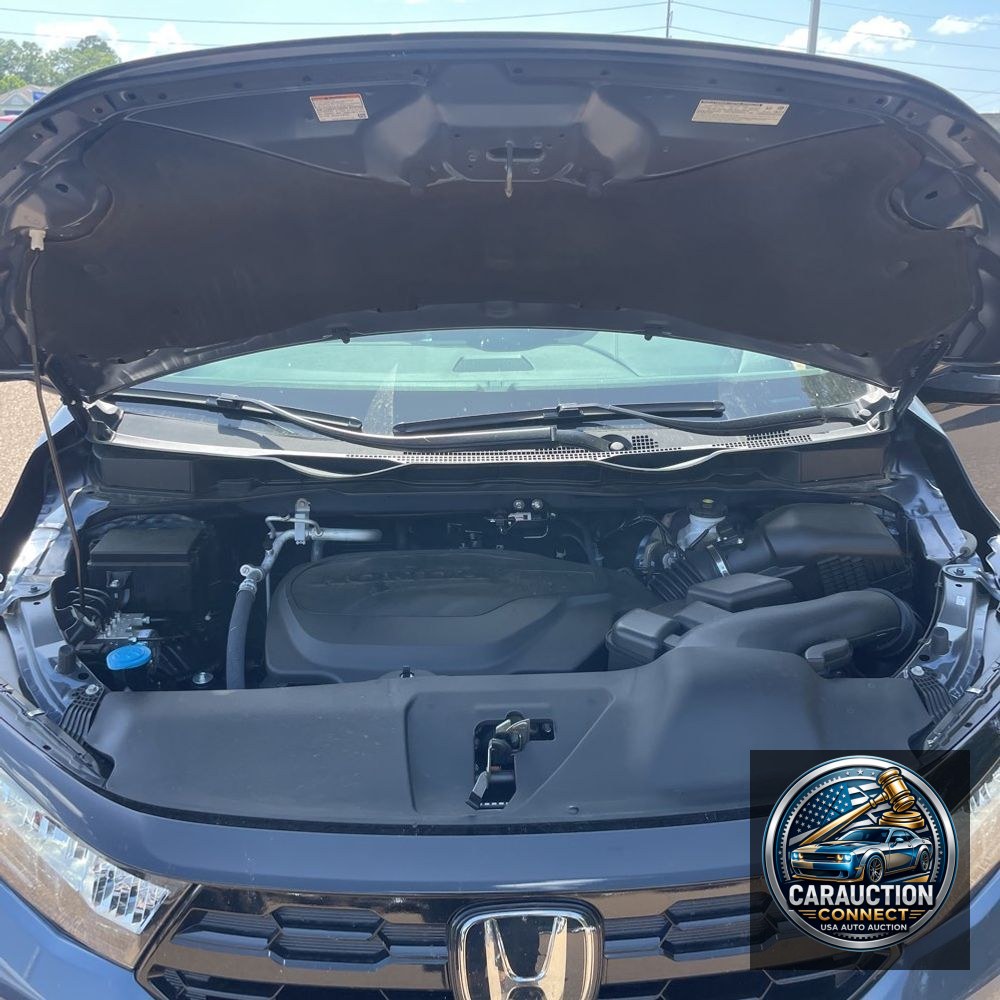 2025 Honda Odyssey Elite