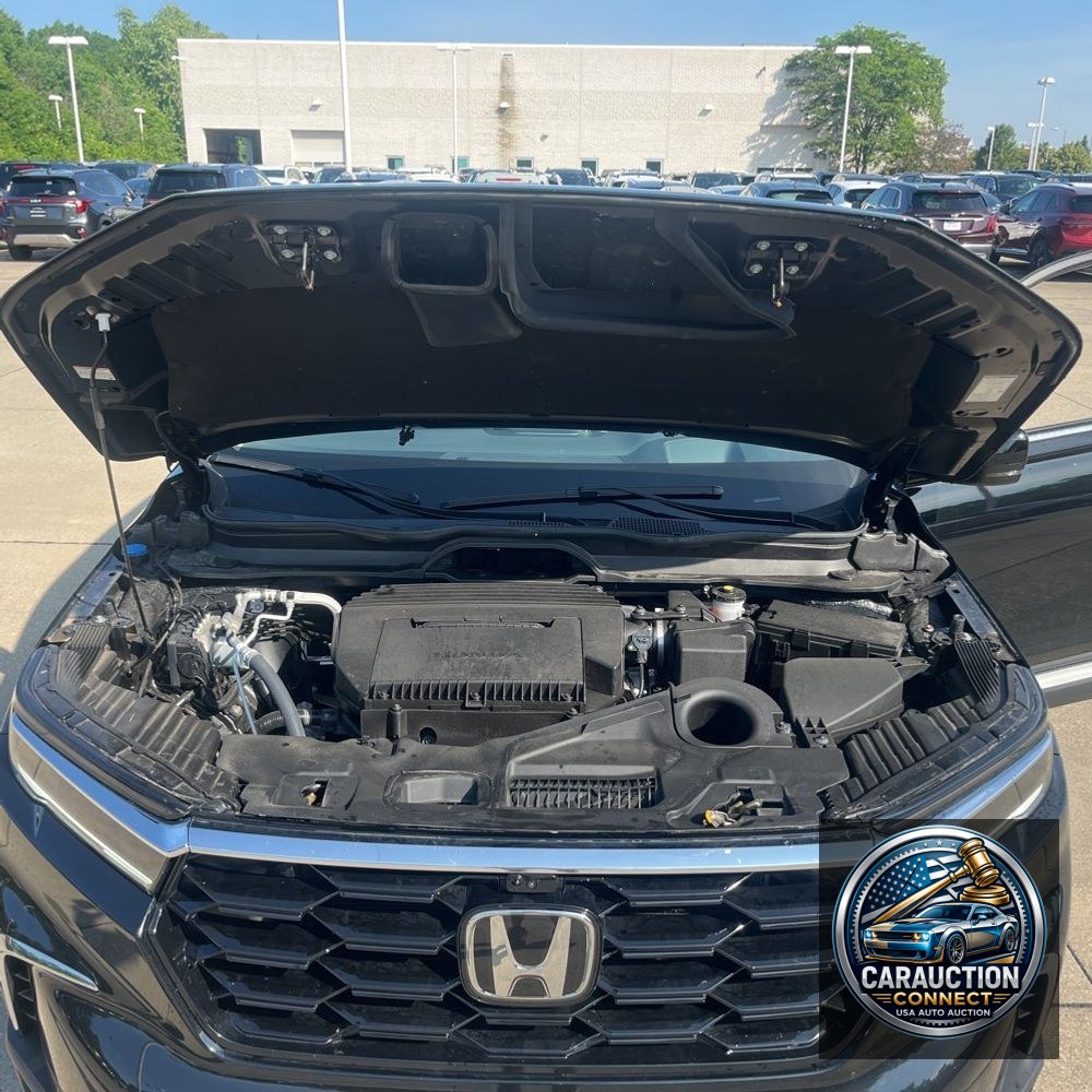 2024 Honda Pilot Elite