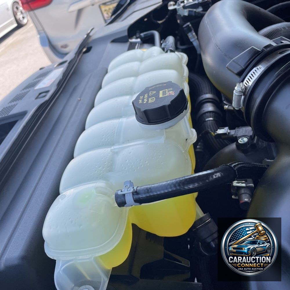 2024 Lincoln Navigator Black Label