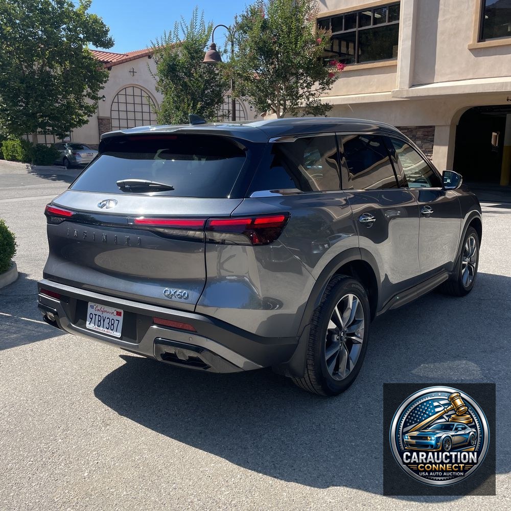 2025 INFINITI QX60 Luxe