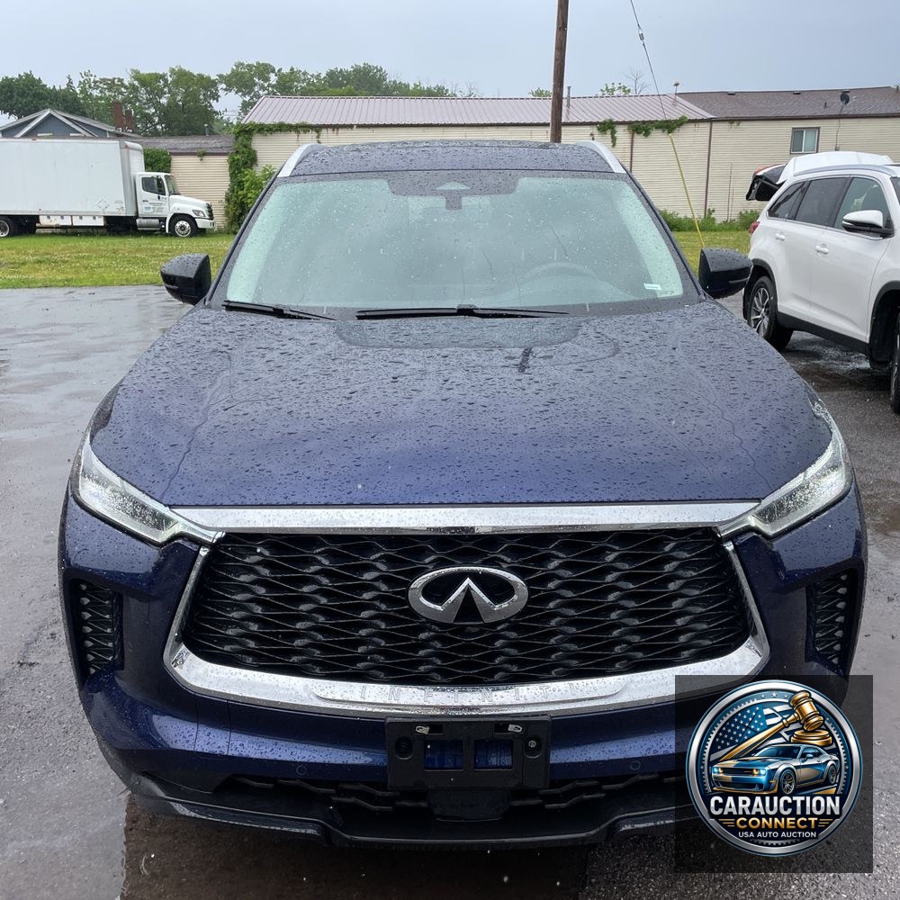 2025 INFINITI QX60 Luxe