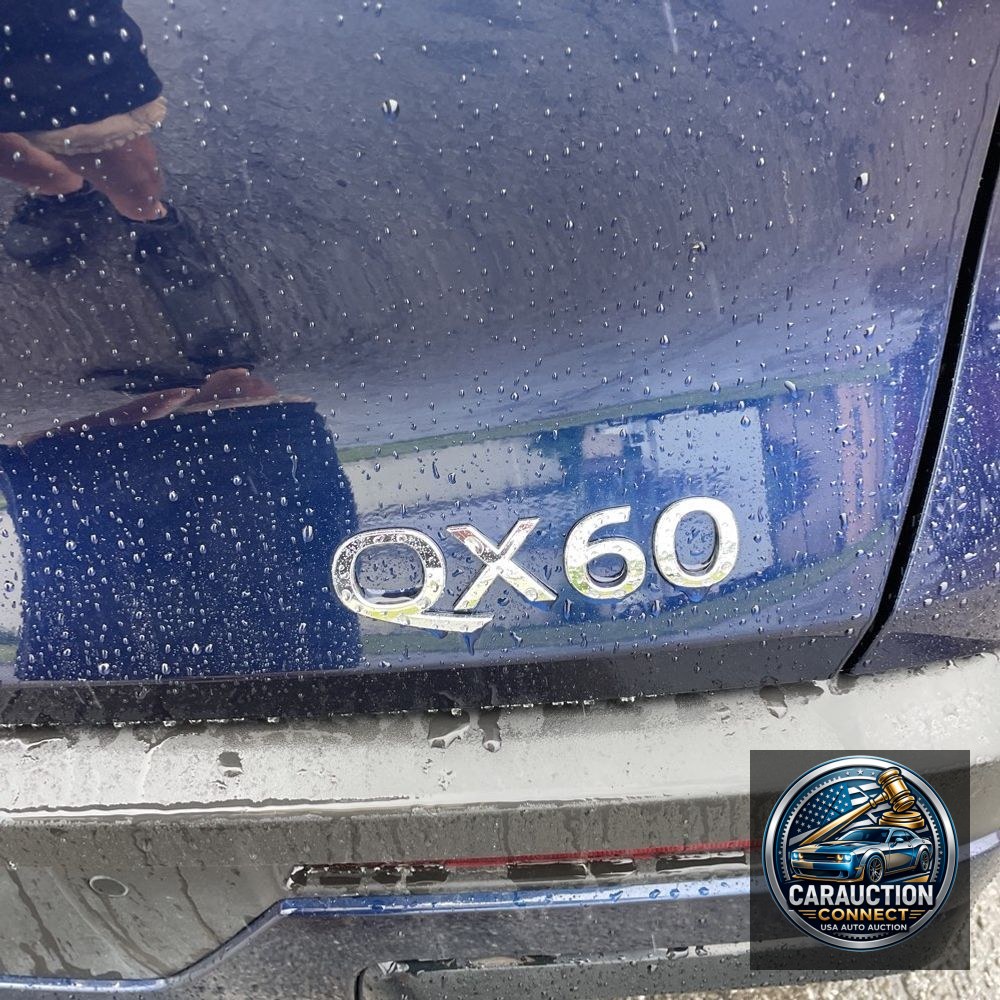 2025 INFINITI QX60 Luxe