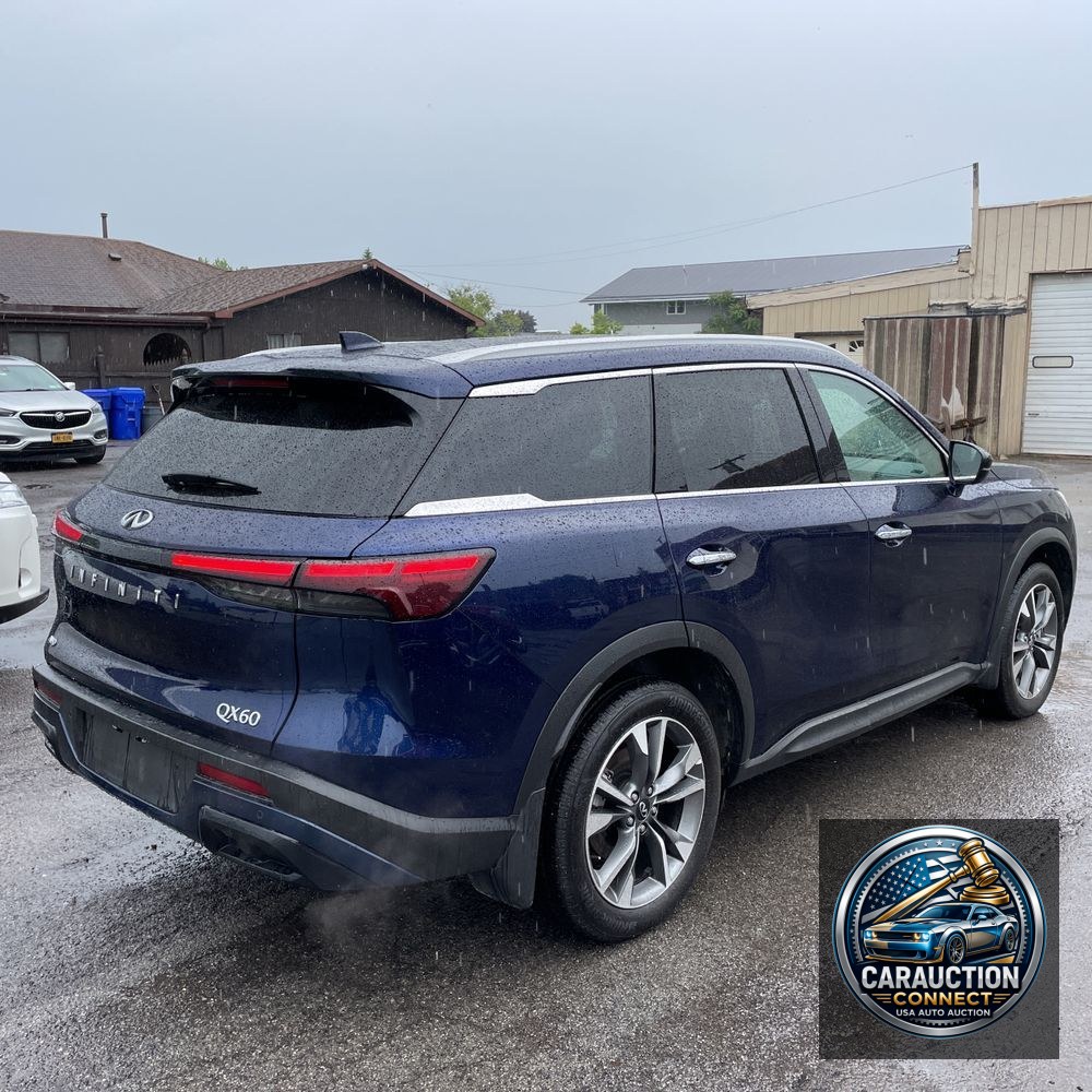 2025 INFINITI QX60 Luxe