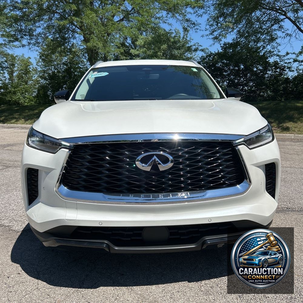 2025 INFINITI QX60 Luxe