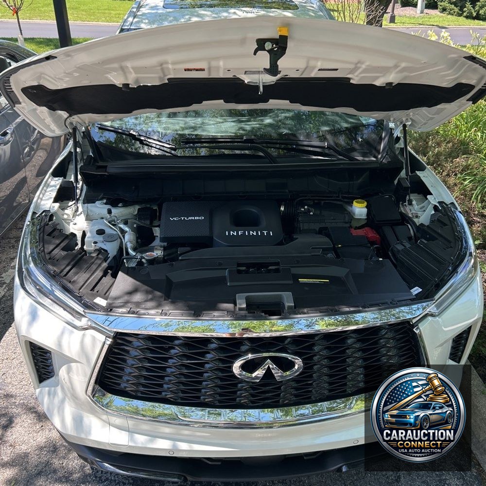 2025 INFINITI QX60 Luxe