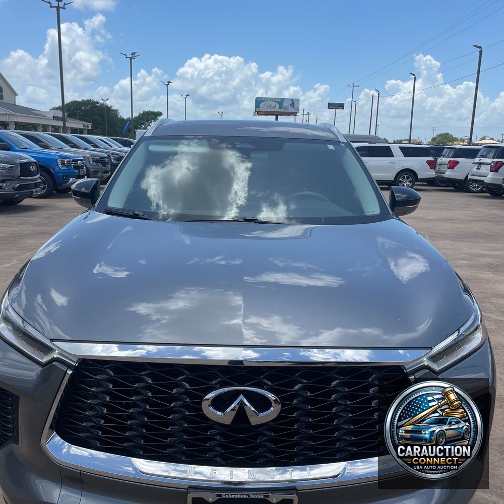 2024 INFINITI QX60 Luxe