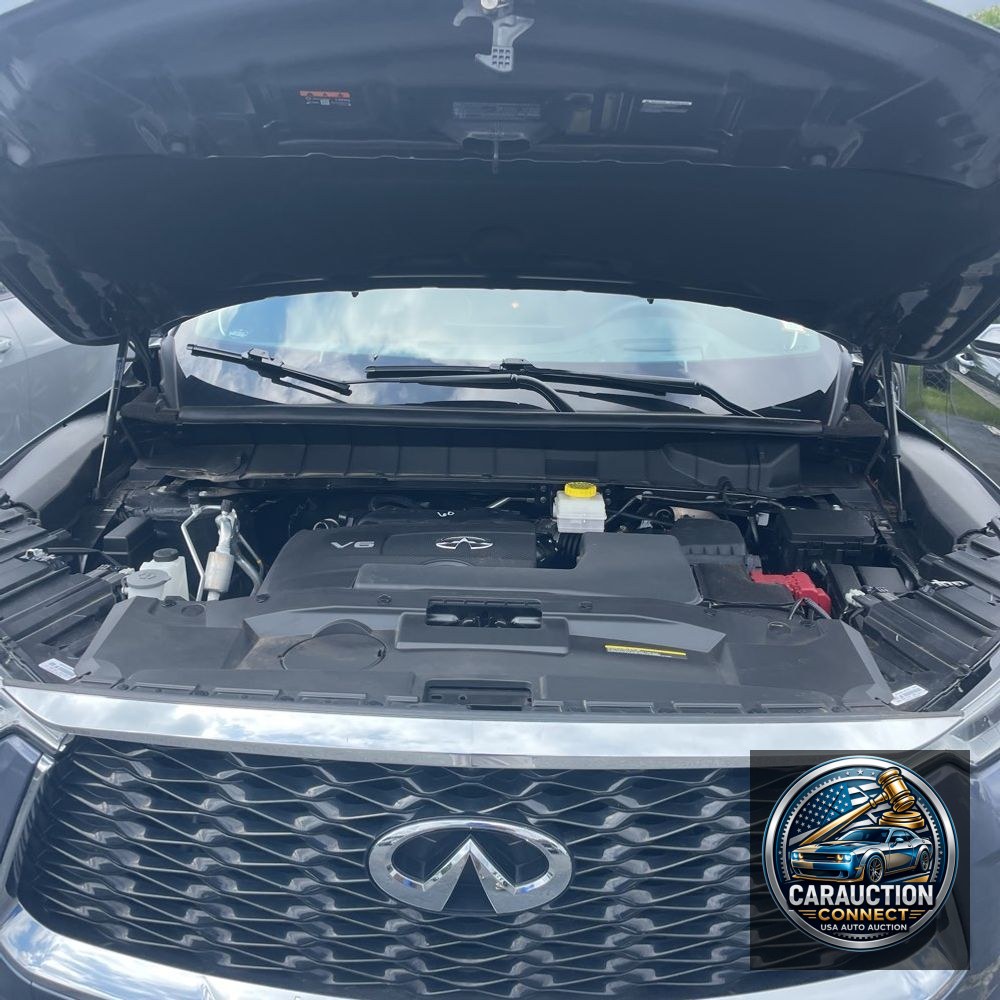 2024 INFINITI QX60 Autograph