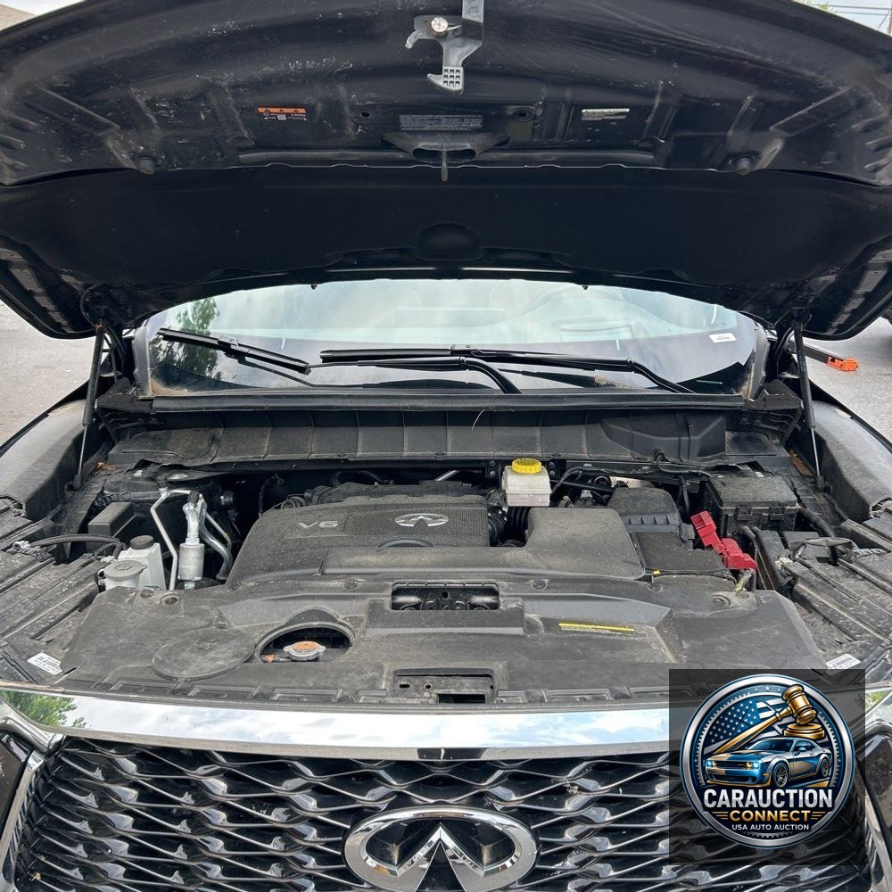 2023 INFINITI QX60 Autograph