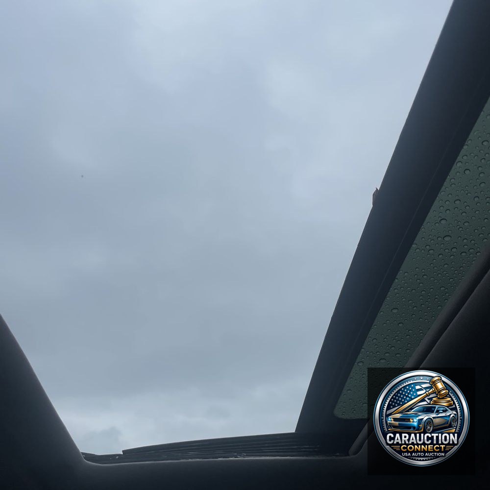 2013 Hyundai SONATA Limited