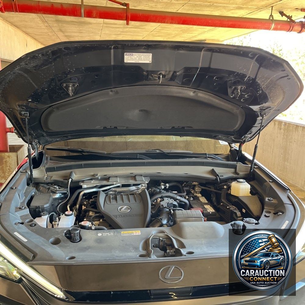 2024 Lexus TX 350 Luxury