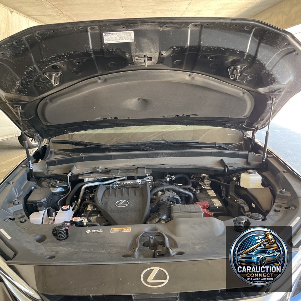2024 Lexus TX 350 Premium