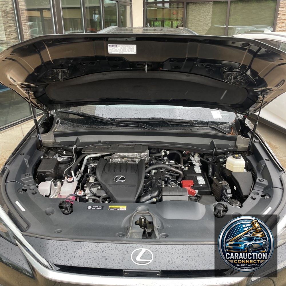 2024 Lexus TX 350 Luxury